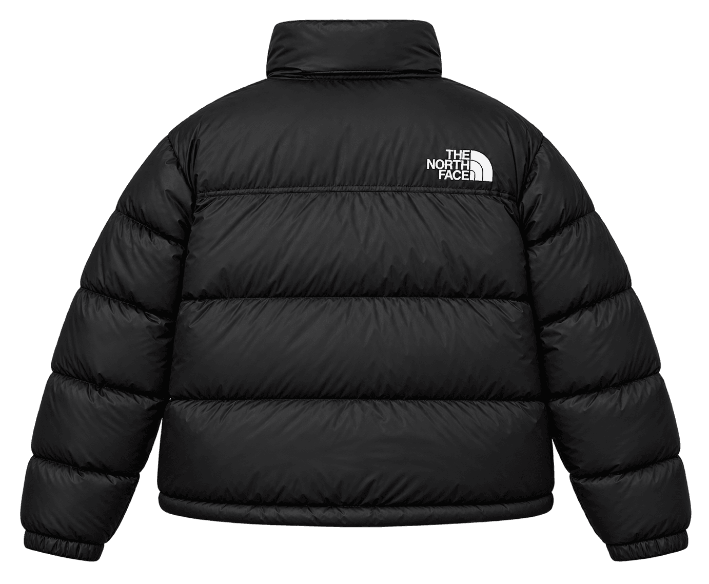 THE NORTH FACE 1996 RETRO MONT, Siyah — image 2 of 2